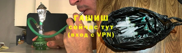 индика Новозыбков