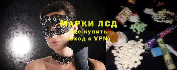 индика Новозыбков