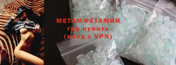 индика Новозыбков