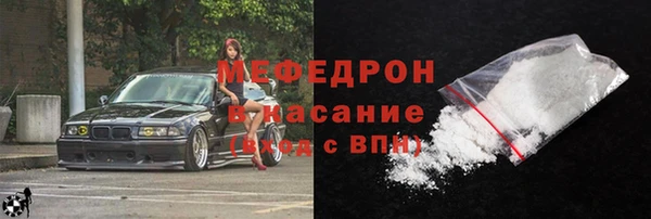 индика Новозыбков