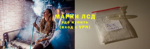 индика Новозыбков