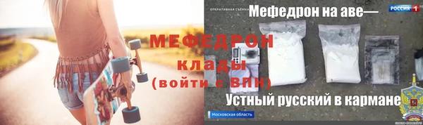 индика Новозыбков