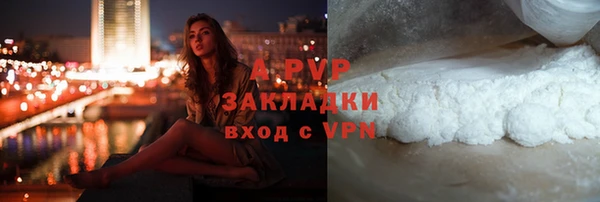 индика Новозыбков