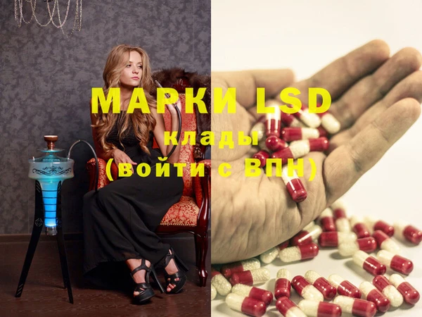индика Новозыбков