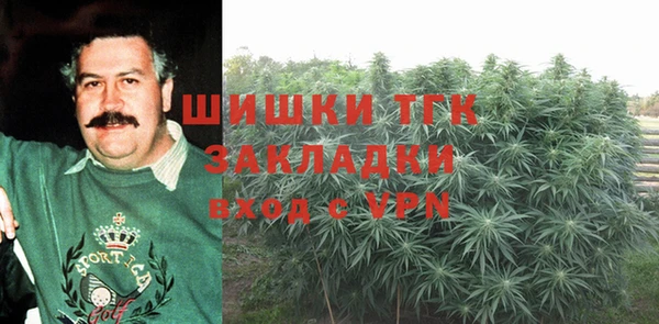 индика Новозыбков