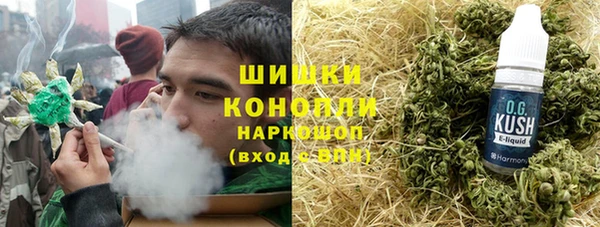 индика Новозыбков