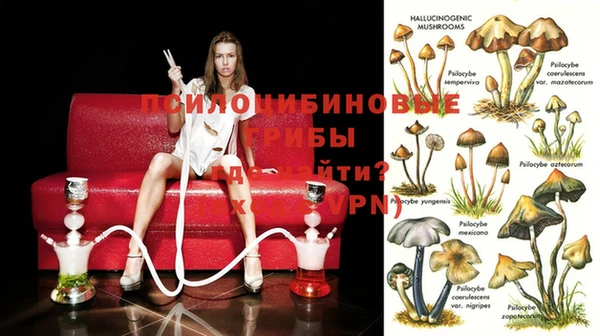 мяу мяу кристалл Новодвинск