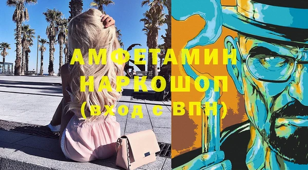 индика Новозыбков