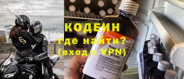 индика Новозыбков