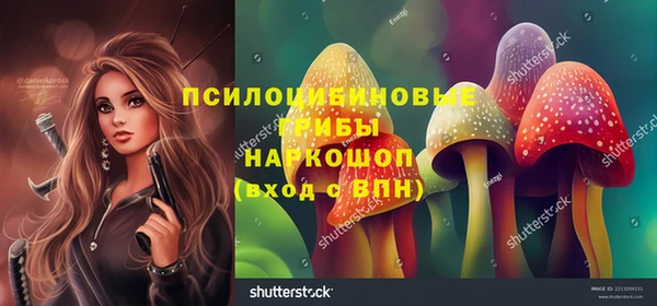 индика Новозыбков