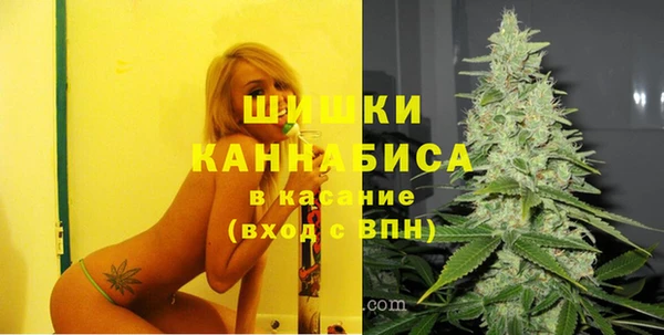 дживик Бежецк