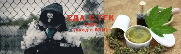 индика Новозыбков