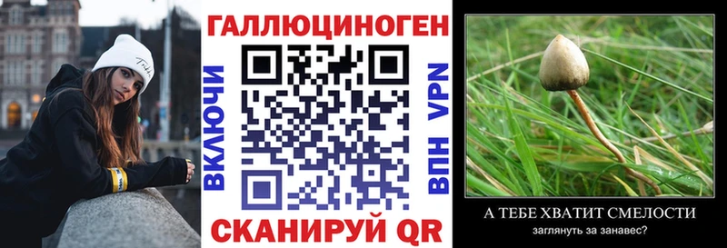 MEGA ссылки  Волжский  Псилоцибиновые грибы GOLDEN TEACHER  купить закладку 