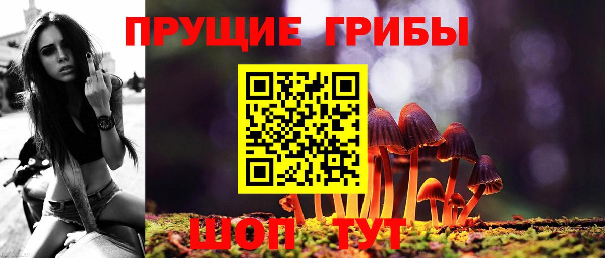 Галлюциногенные грибы Cubensis Волжский