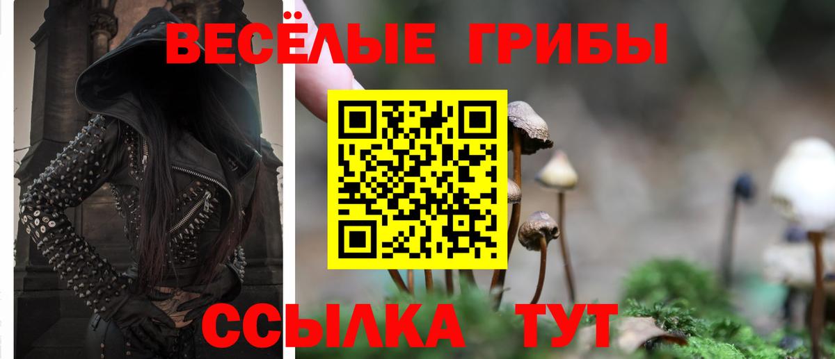 Волжский  Галлюциногенные грибы Cubensis  Вход с VPN 