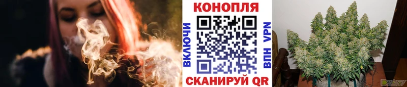 Конопля гибрид где купить наркоту Волжский